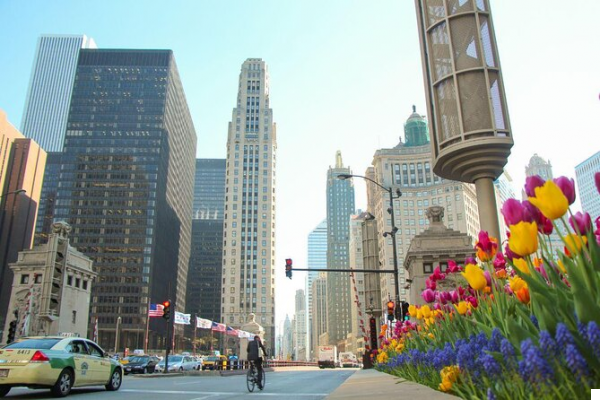 The Magnificent Mile: Shopping and Style