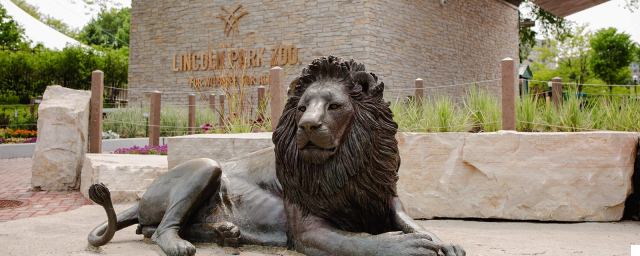 The Lincoln Park Zoo: Wildlife in the City