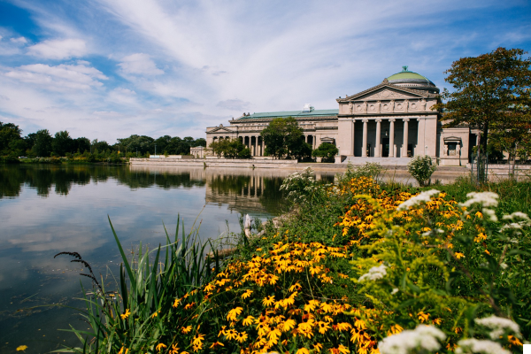 The Museum of Science and Industry: Interactive Discovery