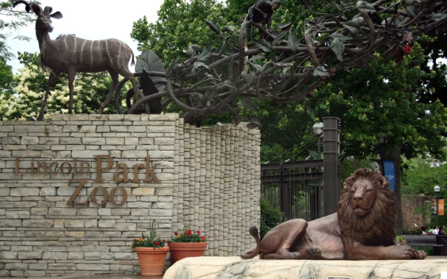 El Zoológico Lincoln Park: Naturaleza en la Ciudad